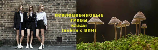 прущие грибы Бугульма