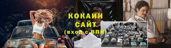прущие грибы Бугульма