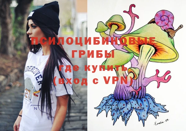 ПСИЛОЦИБИНОВЫЕ ГРИБЫ Бронницы