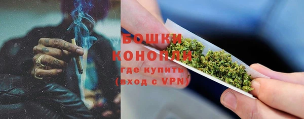 прущие грибы Бугульма