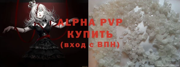 прущие грибы Бугульма
